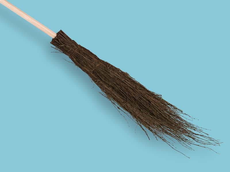 Dutch witches broom